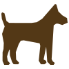 Dogs