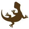Reptiles