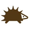 Small Animals
