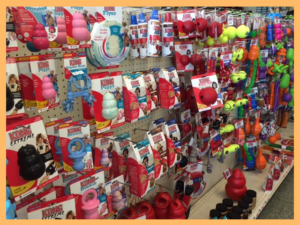 One stop pet shop 2